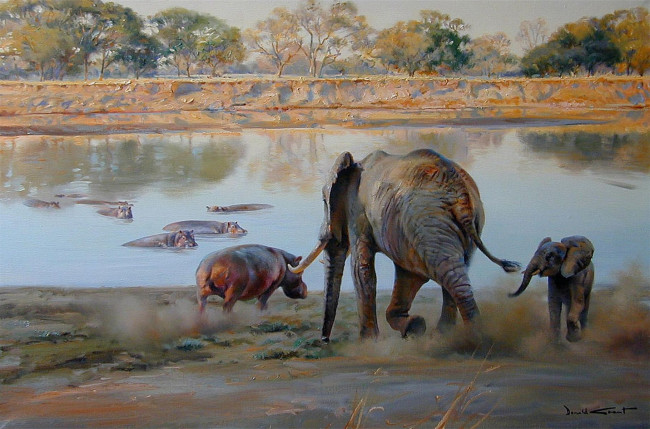 Обои картинки фото donald, grant, рисованные, водоём, бегемоты, слоны