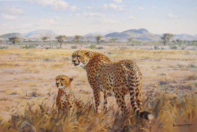 Обои картинки фото donald, grant, рисованные, животные, гепарды, саванна