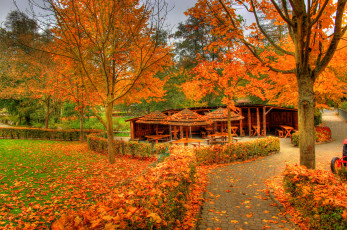 Картинка германия заальбургзидлунг природа парк осень
