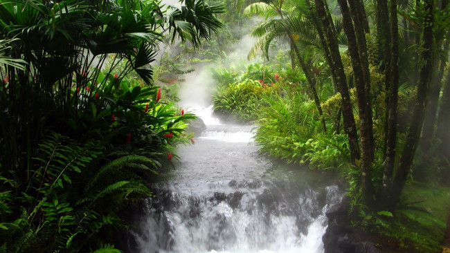 Обои картинки фото природа, водопады, водопад, джунгли, деревья, цветы, папоротники, река