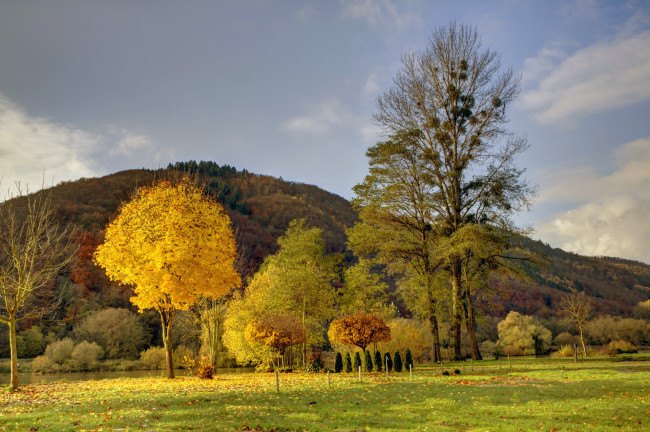 Обои картинки фото германия, кохем, целль, природа, деревья, пейзаж, осень