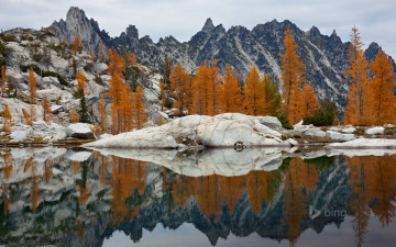 Картинка природа горы осень озеро деревья