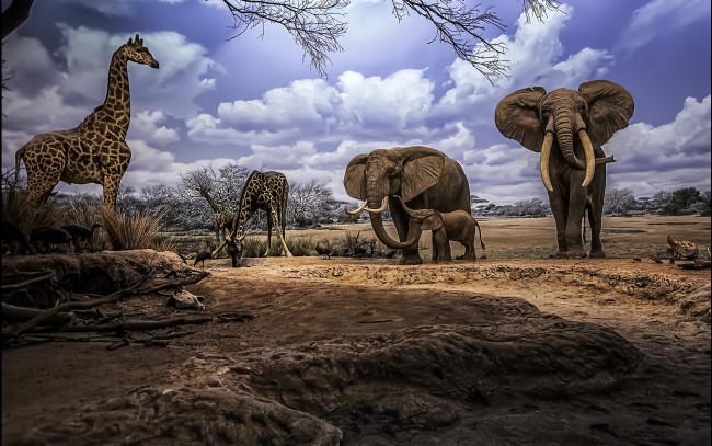 Обои картинки фото рисованные, животные, жирафы, слоны, саванна