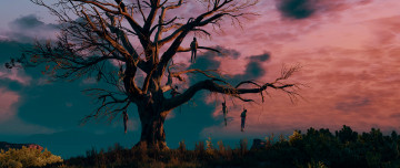 Картинка the+witcher+3 +wild+hunt видео+игры дерево висельников ведьмак