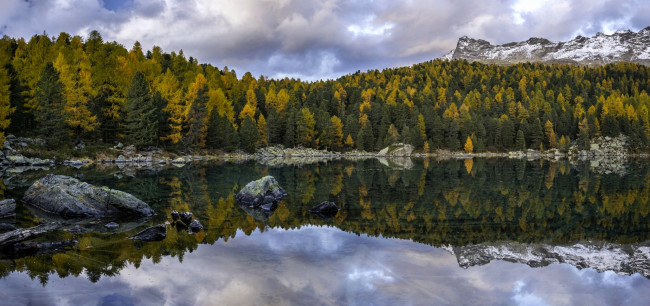 Обои картинки фото природа, реки, озера, осень, лес, озеро, ели, отражение