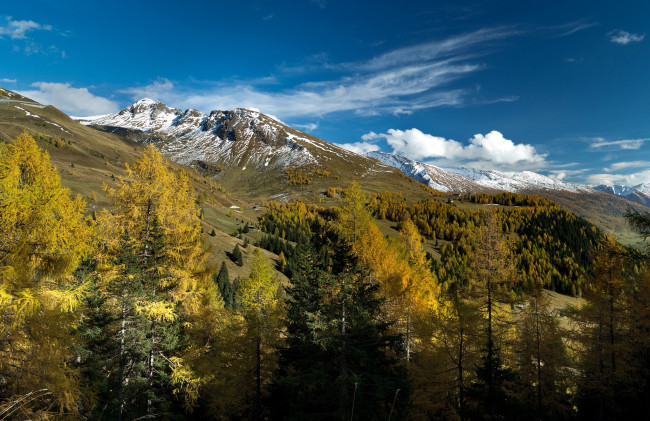 Обои картинки фото природа, горы, осень, zell, am, see, альпы, австрия, деревья, зальцбург, целль-ам-зе, alps, austria, salzburg