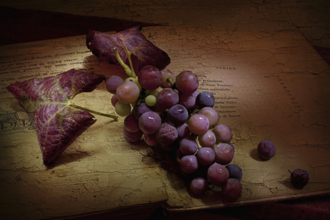 Обои картинки фото еда, виноград, винтаж, гроздь, ягоды, книга, текстура