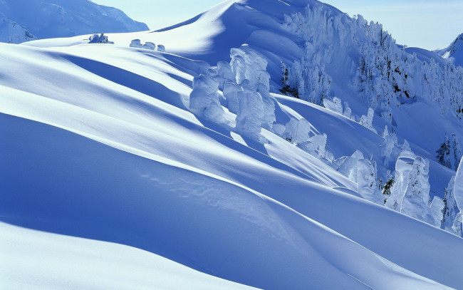 Обои картинки фото природа, зима, снег, горы, деревья