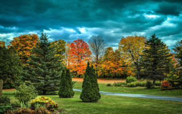 Картинка природа парк осень деревья аллея