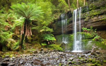 Картинка природа водопады река камни скалы водопад лес
