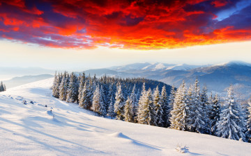 Картинка природа горы тучи снег лес