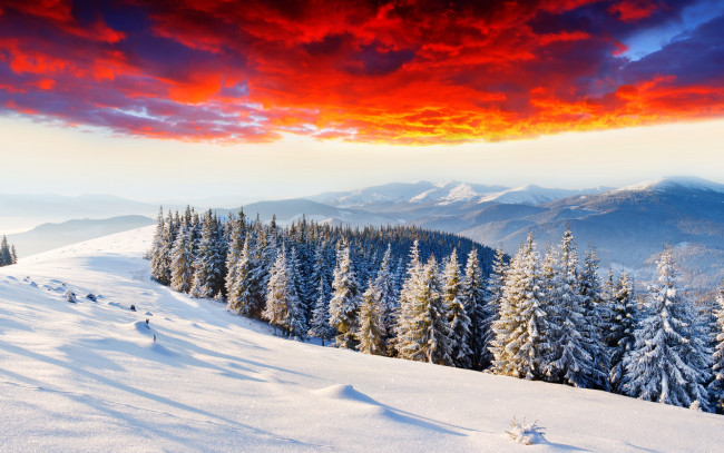 Обои картинки фото природа, горы, тучи, снег, лес