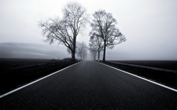 обоя природа, дороги, дорога, туман