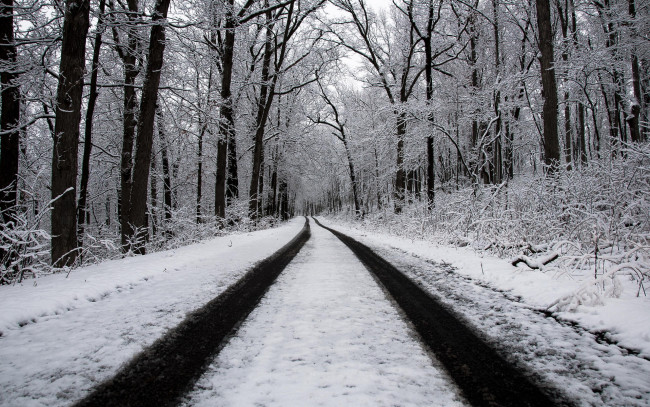Обои картинки фото природа, дороги, зима, лес