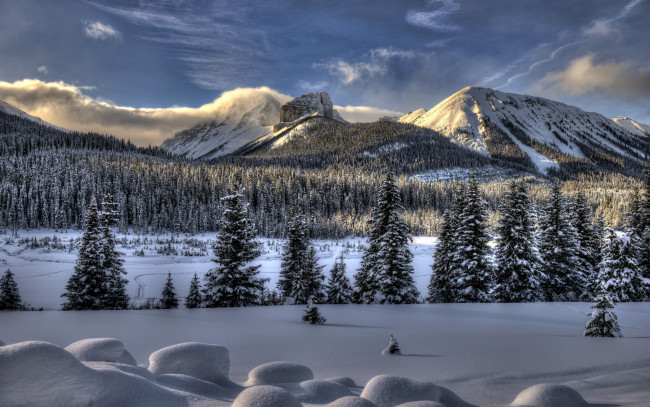 Обои картинки фото природа, зима, облака, лес, снег, горы
