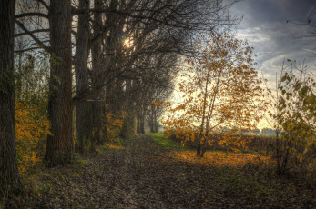 Картинка природа дороги поле тропинка лес осень