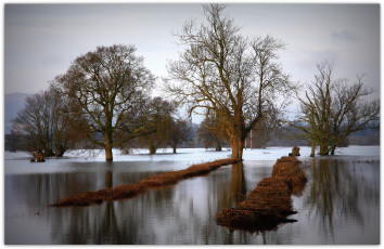 Картинка природа реки озера река деревья разлив