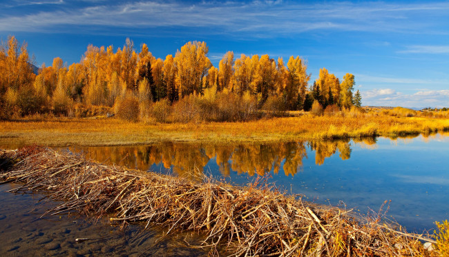 Обои картинки фото природа, реки, озера, трава, река, осень