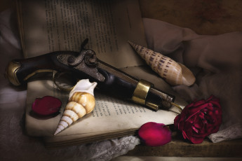 Картинка оружие пистолеты текстура роза ракушка лепестки натюрморт книга пистолет