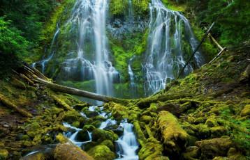 Картинка природа водопады бревна водопад камни мох