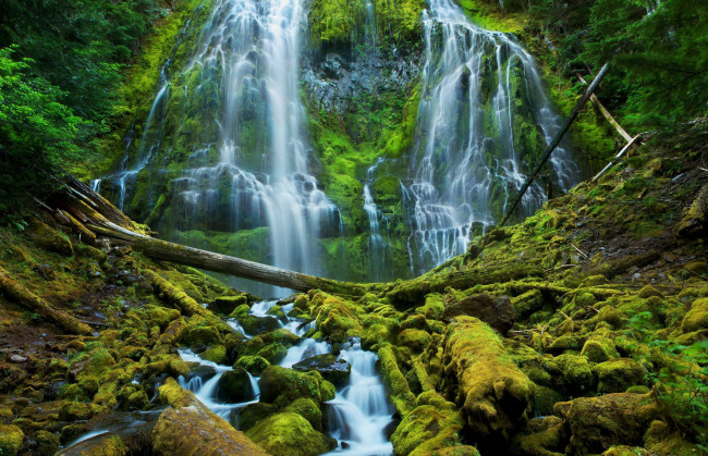 Обои картинки фото природа, водопады, бревна, водопад, камни, мох