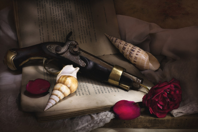 Обои картинки фото оружие, пистолеты, текстура, роза, ракушка, лепестки, натюрморт, книга, пистолет