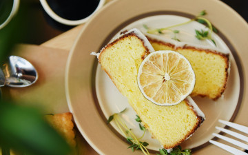 Картинка еда пироги лимонный пирог