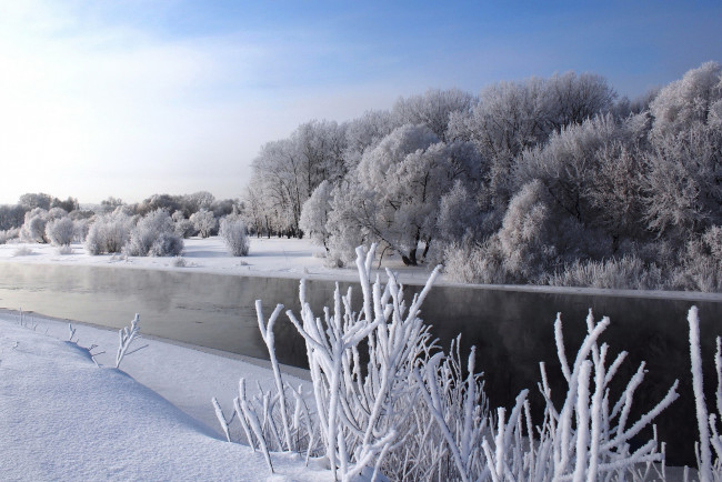 Обои картинки фото природа, зима, река, деревья, снег