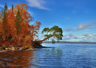 Картинка природа реки озера деревья