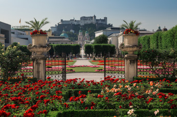 обоя mirabell palace gardens,  salzburg,  austria, города, зальцбург , австрия, austria, клумбы, salzburg, сад, дворца, мирабель, зальцбург, hohensalzburg, castle, крепость, хоэнзальцбург, mirabell, palace, gardens, цветы