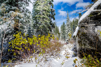 Картинка природа зима снег валун лес сугробы