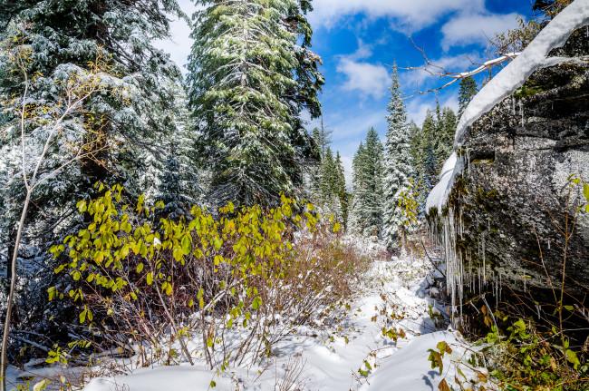 Обои картинки фото природа, зима, снег, валун, лес, сугробы