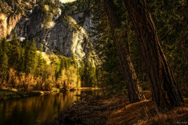 Обои картинки фото yosemite national park california, природа, реки, озера, калифорния, ели, лес, горы, река, сша, парк, yosemite