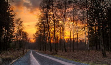 Картинка природа дороги дорога осень лес закат
