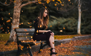 Картинка девушки -unsort+ брюнетки +шатенки блондинка платья туфли скамейка листопад листья парк аллея осень