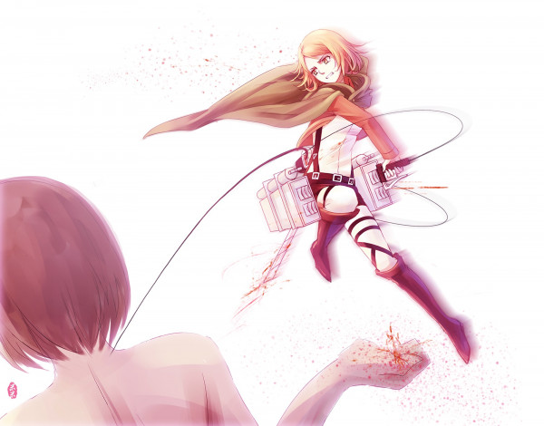 Обои картинки фото аниме, shingeki no kyojin, девушка