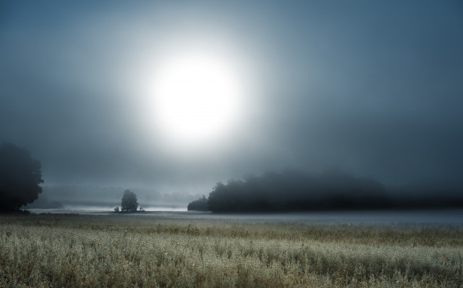 Обои картинки фото природа, пейзажи, туман, поле, ночь