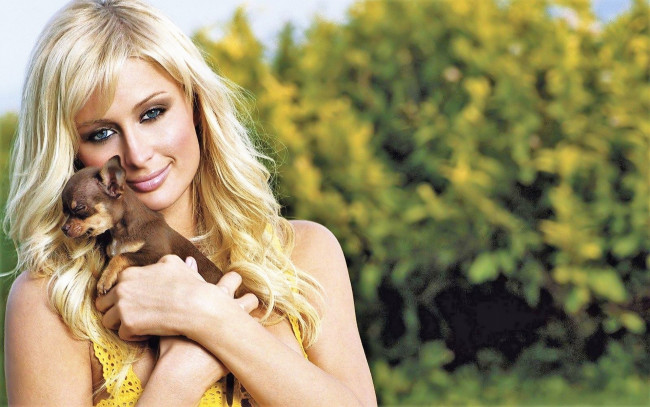 Обои картинки фото девушки, paris hilton, блондинка, лицо, собака