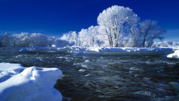 обоя природа, зима, деревья, река