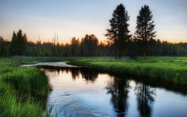 Обои картинки фото природа, реки, озера, зелень, деревья, утро, речка
