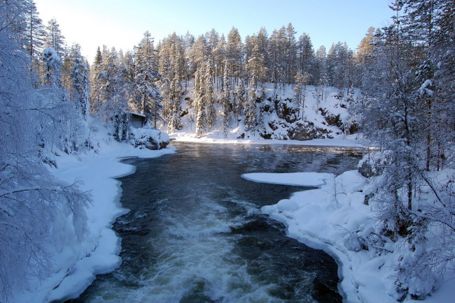 Обои картинки фото природа, зима, река, снег, лес, деревья