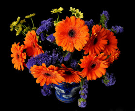 Картинка цветы букеты композиции герберы хризантемы