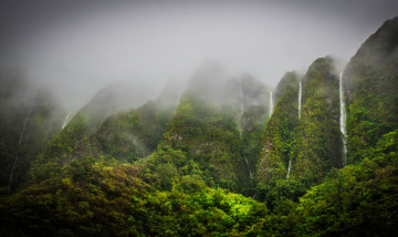 Картинка waterfalls in the jungle highlands oahu hawaii природа водопады джунгли водопад туман