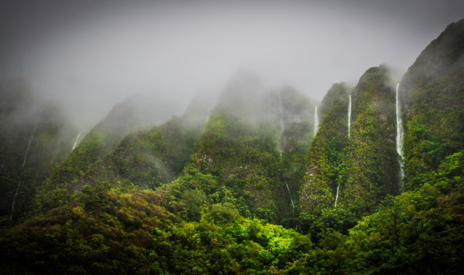 Обои картинки фото waterfalls, in, the, jungle, highlands, oahu, hawaii, природа, водопады, джунгли, водопад, туман