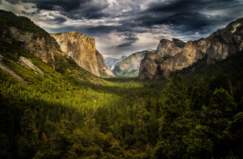 Картинка природа горы лес скалы распадок