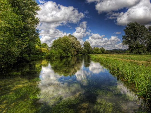 Обои картинки фото река itchen англия, природа, реки, озера, трава, кусты, англия, река, itchen