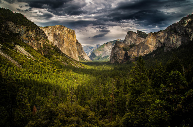 Обои картинки фото природа, горы, лес, скалы, распадок