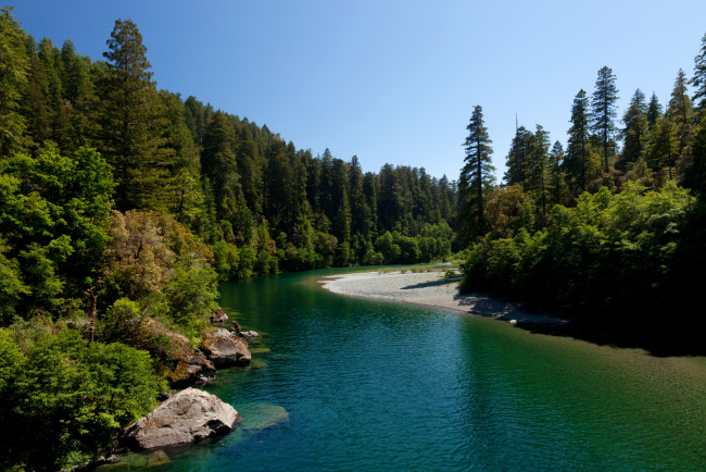 Обои картинки фото природа, реки, озера, река, парк, калифорния, лес
