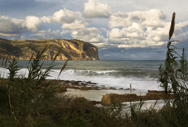 Обои картинки фото природа, побережье, растительность, скалы, пляж, океан