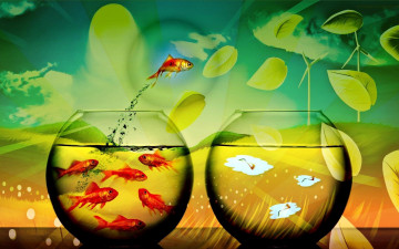 Картинка животные рыбы брызги прыжок рыбки золотые аквариумы